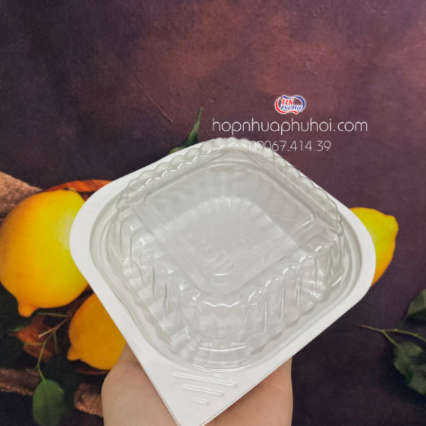 HỘP NHỰA HT12 TRẮNG